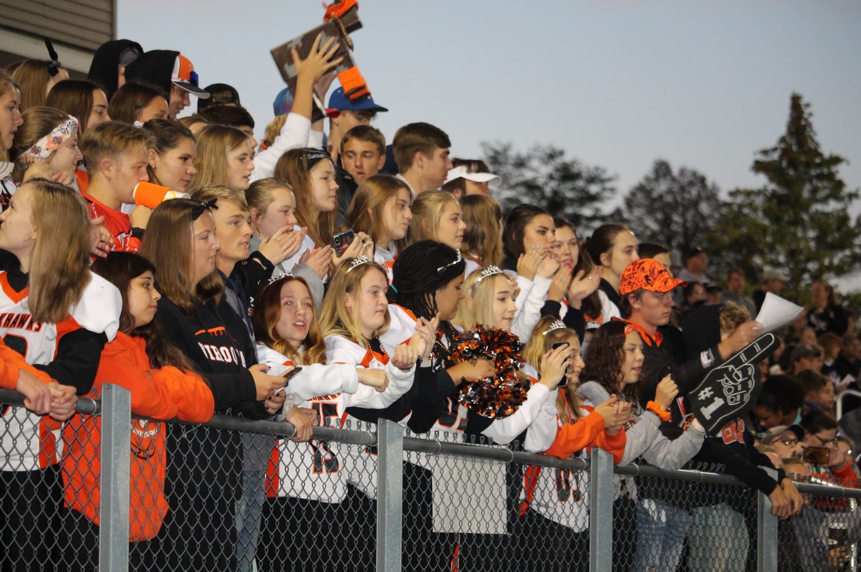 Cheering students